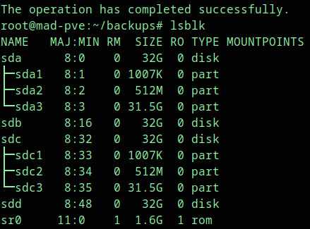 Newly attached replacement disks visible in lsblk