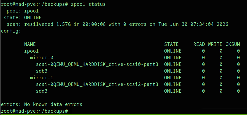 ZFS pool online after resilver